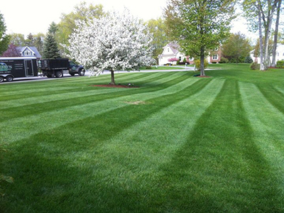 Salem, NH lawn maintenance MA Lawn Mowing
